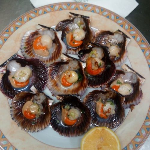 Ración de zamburiñas